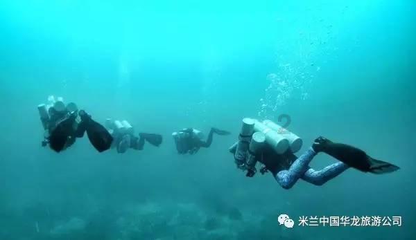我是大学本科在读!想当兵!城镇户口!上海人!学校也在上海!从学校报名好还是回当地武装部报名好