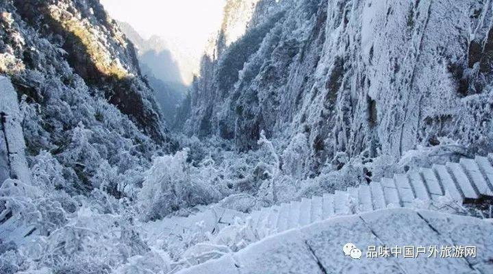 探寻吉鹿力社区——乒乓球滚球技巧问答乐园